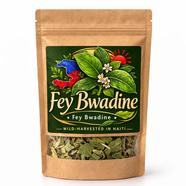 Fey Bwadine Leaves – Traditional Haitian Herbal Tea | Wild Harvested | Termila Naturals