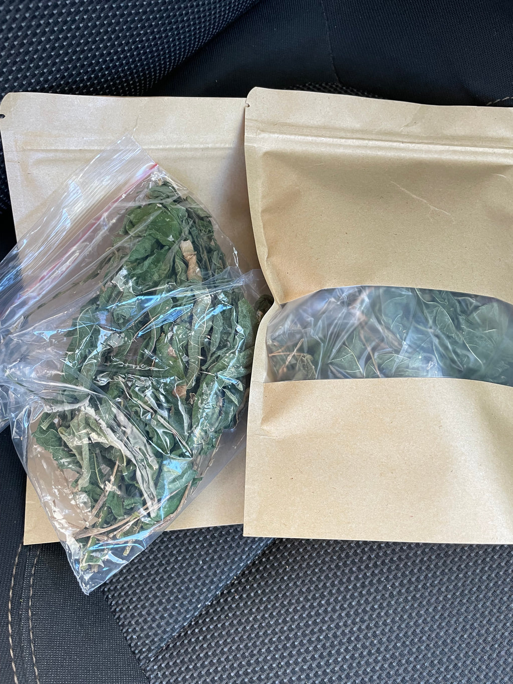 Vervain Leaves (Fey Vèvenn) – Haitian Herbal Tea | Wild Harvested | Termila Naturals